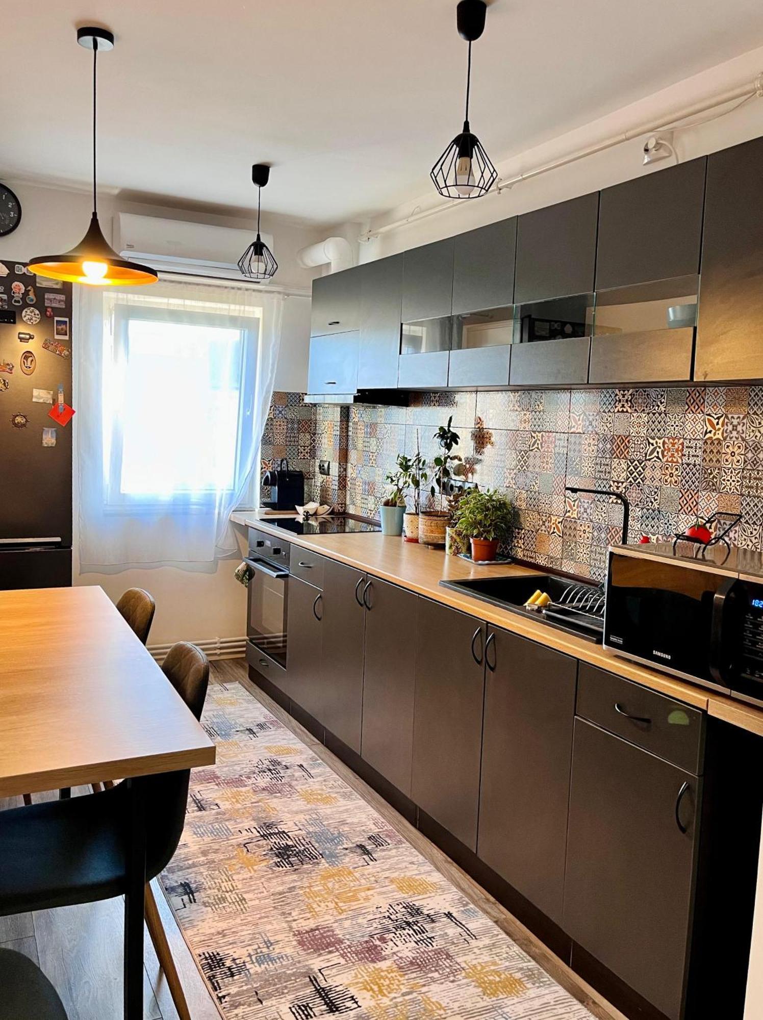 Comfortable Baia Mare Apartment エクステリア 写真