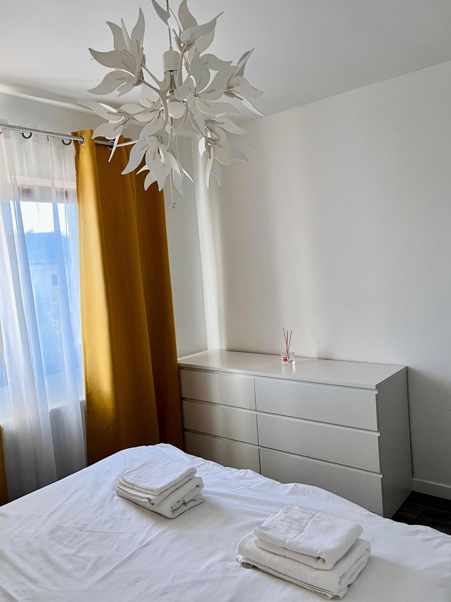 Comfortable Baia Mare Apartment エクステリア 写真