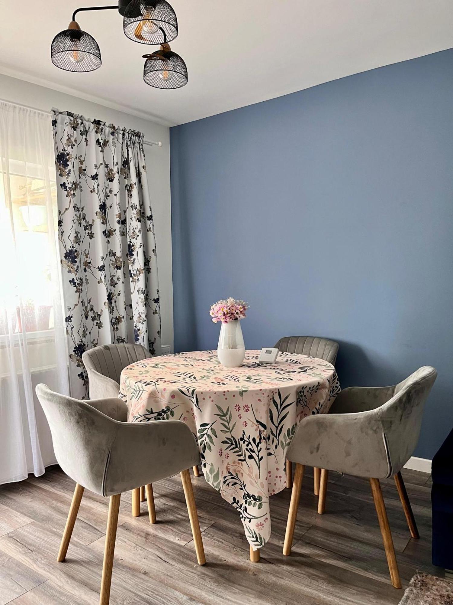 Comfortable Baia Mare Apartment エクステリア 写真
