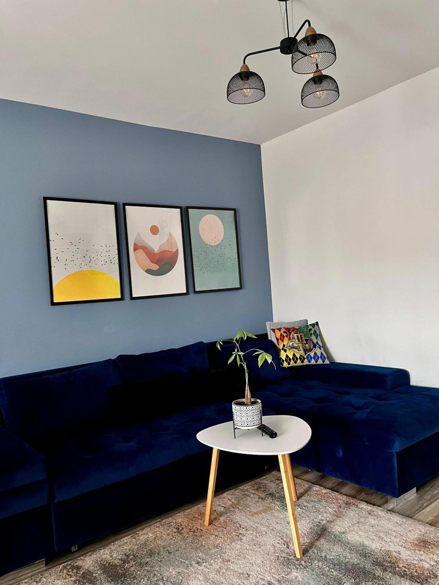 Comfortable Baia Mare Apartment エクステリア 写真